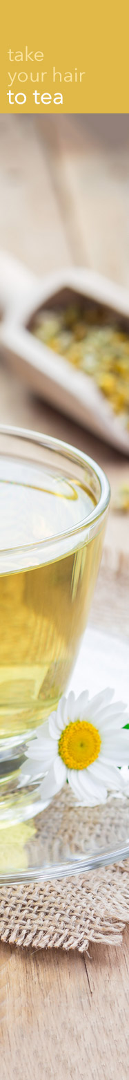 [ Natural Hair Dye ~ Henna and Other Helpers: Infusions for Hair Rinses ] ~ from Monterey Bay Spice