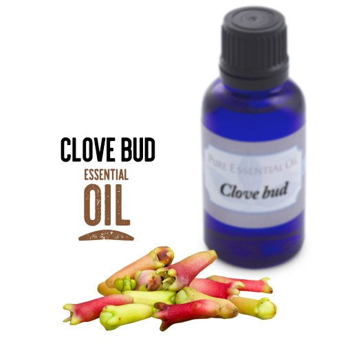 [ Clove Bud Essential Oil ] ~ from Monterey Bay Spice