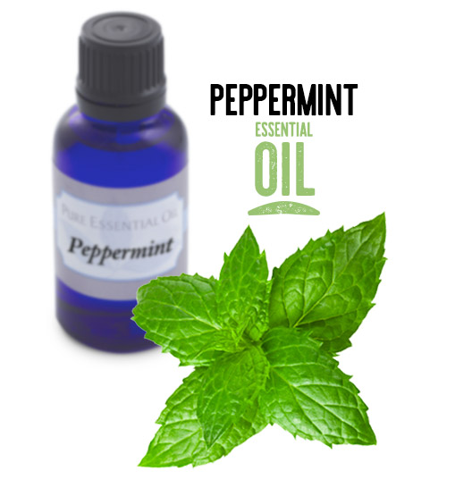 [ Peppermint Essential Oil ] ~ from Monterey Bay Spice