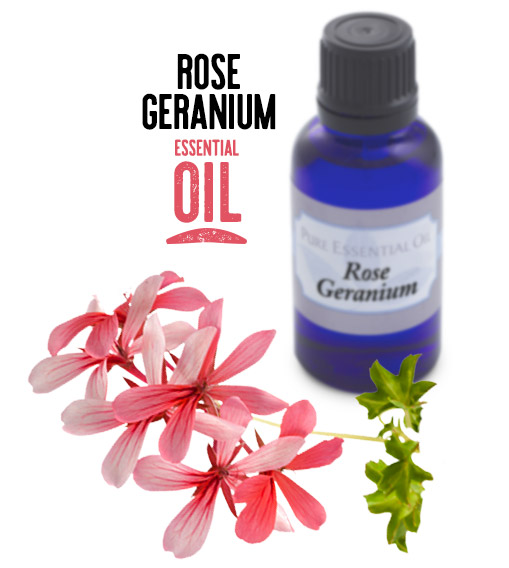 [ Rose Geranium Essential Oil ] ~ from Monterey Bay Spice