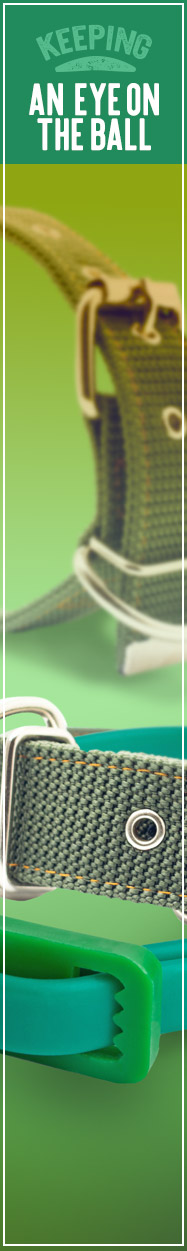 [ PAWS for Pest Control  - KEEPING AN EYE ON THE BALL ] ~ from Monterey Bay Spice