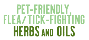 Pet Friendly Flea and Tick Fighting Header