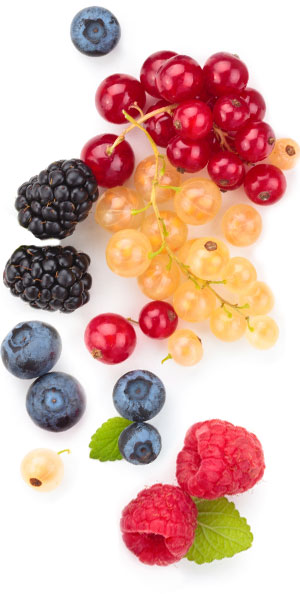 [ berries ] ~ from Monterey Bay Spice