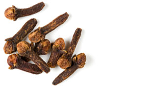 [ cloves ] ~ from Monterey Bay Spice