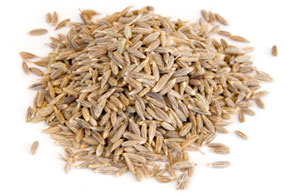 [ cumin ] ~ from Monterey Bay Spice