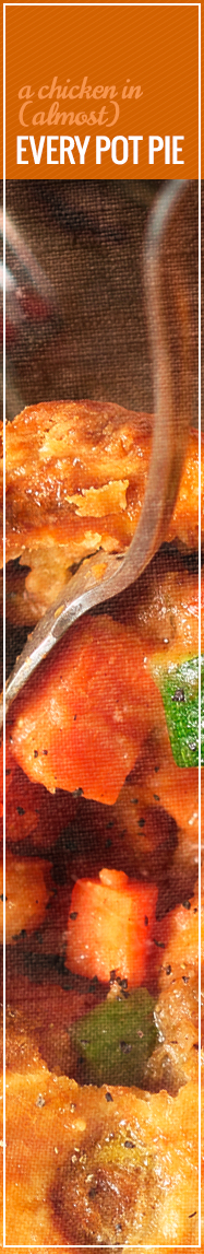 [ Pie - A Slice of Life: A Chicken in Almost Every Pot Pie ] ~ from Monterey Bay Spice