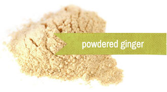 [ Image : Powdered Ginger Root ] ~ from Monterey Bay Spice
