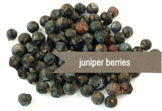 [ Image : Juniper Berries ] ~ from Monterey Bay Spice