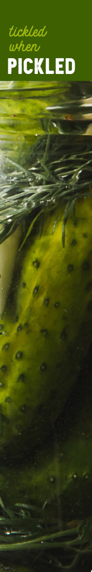 [ Preserving the Harvest - TICKLED WHEN PICKLED ] ~ from Monterey Bay Spice