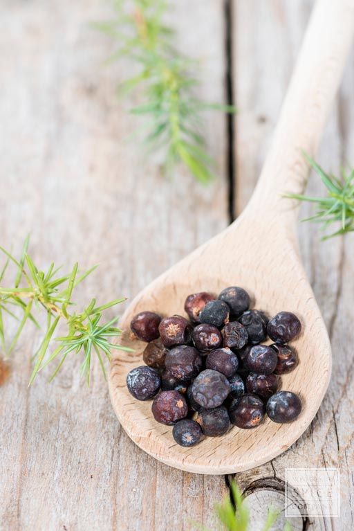 [ juniper berry ] ~ from Monterey Bay Herb Company