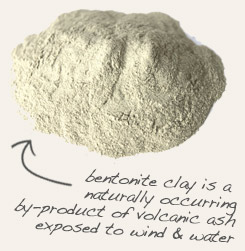 bentonite clay