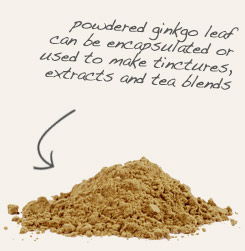 [ tip: Hawthorn and ginkgo are traditionally combined in capsule form to help enhance memory.  ~ from Monterey Bay Herb Company ]