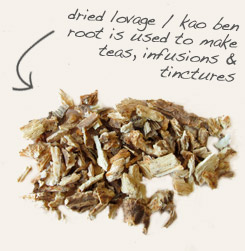 [ tip: Use caraway and lovage together in teas and digestifs. ]