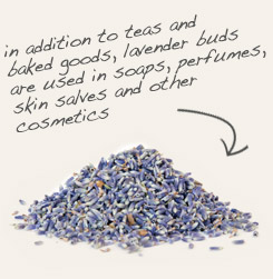[ tip: Combine marigold petals with lavender in soaps, lotions and other cosmetics. ~ from Monterey Bay Herb Company ]