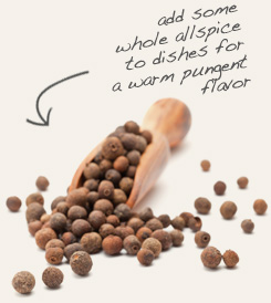 [ allspice tip: Combine cubeb berry with allspice berries to make infused gin or vodka.  ~ from Monterey Bay Herb Company ]