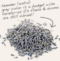 [ tip: Combine mugwort with lavender in herbal pillows and sachets.  ~ from Monterey Bay Herb Company ]