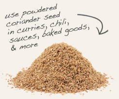 [ tip: Pair yellow mustard seed powder with coriander in Middle Eastern soups and stews. ~ from Monterey Bay Herb Company ]