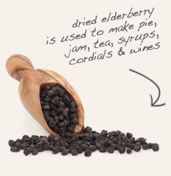 [ tip: Pair elder flower with berries from the same plant in wines, cordials and syrups. ~ from Monterey Bay Herb Company ]