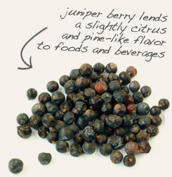 [ juniper berry tip: Infuse whole cinnamon sticks and juniper berries in gin or vodka to make flavored cocktails.  ~ from Monterey Bay Herb Company ]