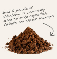 [ tip: Tincture eleuthero root with elderberry root for use in tonics.~ from Monterey Bay Herb Company ]
