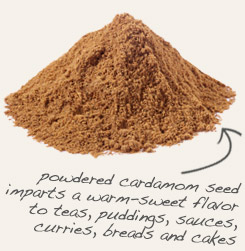 [ tip: Mix ground nutmeg with powdered cardamom to make garam masala ~ from Monterey Bay Herb Company ]