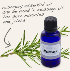 [ tip: Pair with rosemary essential oil when making skin lotions and hair care products. ~ from Monterey Bay Herb Company ]