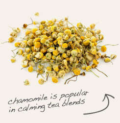 [ chamomile ]