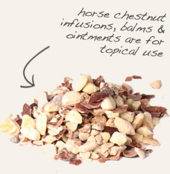 [ tip: Decoct white oak bark with horse chestnut for use in topical formulations. ~ from Monterey Bay Herb Company ]