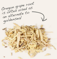 [ oregon grape root tip: Combine dandelion root with Oregon grape root when making poultices, creams and other topical formulations. ~ from Monterey Bay Herb Company ]