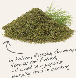 [ tip: Pair whole dill seed with dill weed in soups, stews and braised foods. ~ from Monterey Bay Herb Company ]