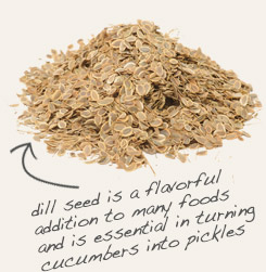 [ tip: Pair coriander seed  with dill seed in pickling seasoning blends. ~ from Monterey Bay Herb Company ]