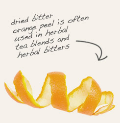 [ tip: Combine grape seeds with dried orange peel in teas. ~ from Monterey Bay Herb Company ]