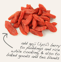 [ tip: Couple powdered codonopsis with goji (lycii) berries in tonics and infusions.    ~ from Monterey Bay Herb Company ]