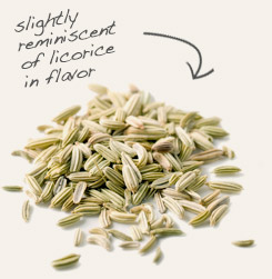 [ tip: Partner with fennel seed to season Indian stews and vegetable dishes.  ~ from Monterey Bay Herb Company ]