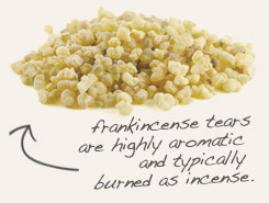 [ frankincense tears ]
