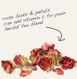 [ tip: Add color and textural interest to potpourri and homemade soap by using jasmine flowers and rose buds & petals  together. ~ from Monterey Bay Herb Company ]