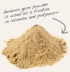 [ tip: Partner with fragrant benzoin gum when making incense. ~ from Monterey Bay Herb Company ]