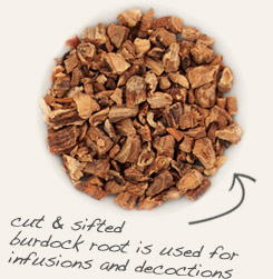 [ tip: Combine with burdock root to prepare digestive herbal bitters.  ~ from Monterey Bay Herb Company ]