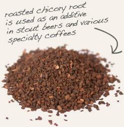 [ chicory root tip: Combine roasted dandelion root with roasted chicory root to make a bold hot beverage. ~ from Monterey Bay Herb Company ]
