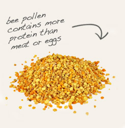 [ tip: Partner stevia leaf powder with bee pollen granules to enhance the flavor of teas and other beverages.   ~ from Monterey Bay Herb Company ]