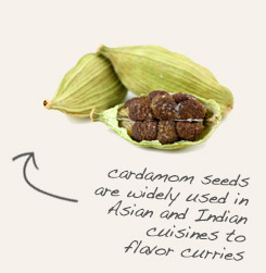 [ cardamom seed tip: Combine clove powder with cardamom in tandoori and other Indian dishes. ~ from Monterey Bay Herb Company ]