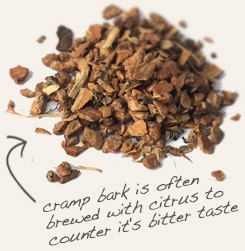 [ tip: Pair squawvine herb with the astringent qualities of cramp bark in tea blends. ~ from Monterey Bay Herb Company ]