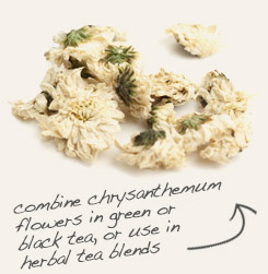 [ chrysanthemum flowers tip: Combine dandelion leaf with chrysanthemum flowers in tea blends.  ~ from Monterey Bay Herb Company ]