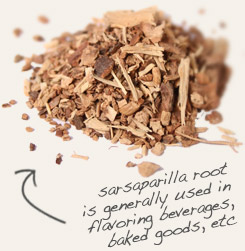 sarsaparilla root
