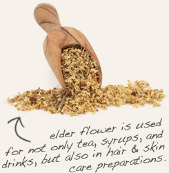 [ tip: Pair whole red clover tops with elder flowers in cosmetic formulas.  ~ from Monterey Bay Herb Company ]