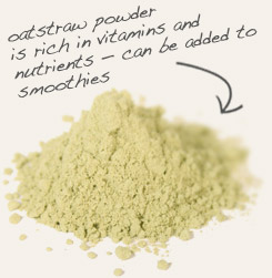 [ oatstraw powder tip: Combine powdered chickweed herb with oatstraw powder in smoothie or in skin care preparations.   ~ from Monterey Bay Herb Company ]
