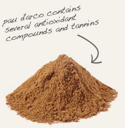 [ tip: Encapsulate powdered olive leaf with antioxidant-rich Pau d'arco powder as a dietary supplement.   ~ from Monterey Bay Herb Company ]