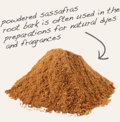 [ tip: Combine powdered kola nut with sassafras to make homemade soft drinks. ~ from Monterey Bay Herb Company ]
