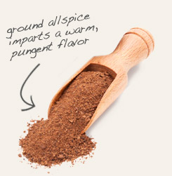 [ allspice tip: Pair clove powder with ground allspice in pumpkin pie spice mix.  ~ from Monterey Bay Herb Company ]
