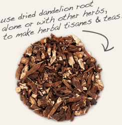 [ tip: Tincture yellow dock root and dandelion root together.  ~ from Monterey Bay Herb Company ]